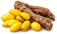 Balansulin — Berberin aus Berberis aristata