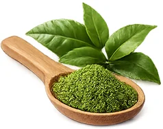Balansulin — groene thee-extract met EGCG