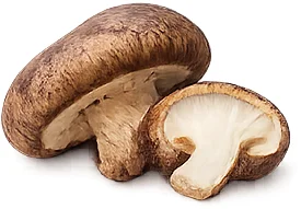 Balansulin — shiitake-extract (Lentinula edodes)