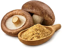 Balansulin — Shiitake-Extrakt (Lentinula edodes)