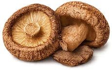 Balansulin — Shiitake-Extrakt (Lentinula edodes)